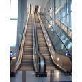 China Fuji Producteur OEM Service Escalifiant résidentiel Prix Escalator Home Cost Indoor Outdoor Escalator